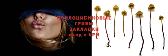 эйфоретик Волосово