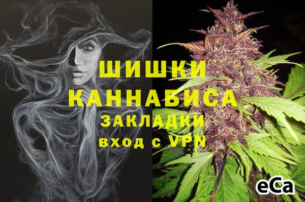 амф Бронницы
