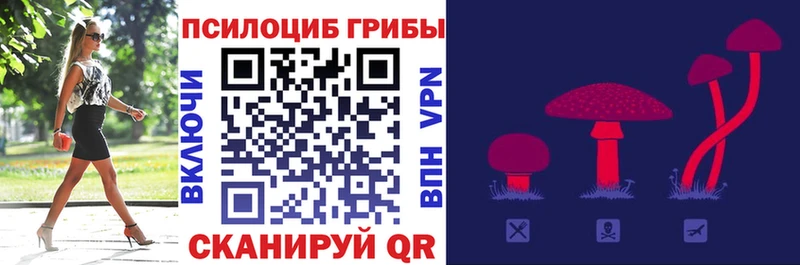 Псилоцибиновые грибы ЛСД  Зуевка 